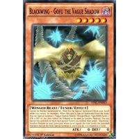 Yugioh Blackwing - Gofu the Vague Shadow - TDIL-EN013/MP17-EN068 - Common