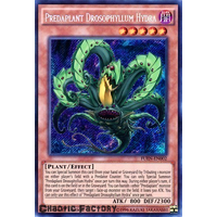 YUGIOH Predaplant Drosophyllum Hydra FUEN-EN002 Secret Rare