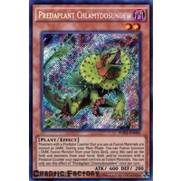 Predaplant Chlamydosundew FUEN-EN005 Secret Rare 1st Edition NM