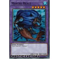 OP04-EN022 Marine Beast NM