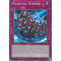 Paleozoic Eldonia - OP06-EN007 - Super Rare NM