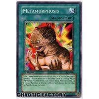 PGD-090 Metamorphosis Common Unlimited Edition LP