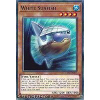 PHNI-EN006 White Sunfish Common 1st Edition NM
