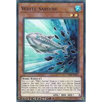 PHNI-EN007 White Sardine Super Rare 1st Edition NM