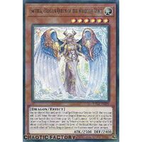 PHNI-EN020 Saffira, Dragon Queen of the Voiceless Voice Ultra Rare 1st Edition NM