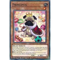 PHNI-EN034 Principug Common 1st Edition NM