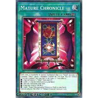 PHNI-EN055 Mature Chronicle Common 1st Edition NM