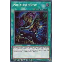 PHNI-EN070 Mutamorphosis Secret Rare 1st Edition NM