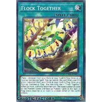 PHNI-EN072 Flock Together Common 1st Edition NM