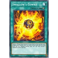 PHNI-EN088 Swallow's Cowrie Common 1st Edition NM
