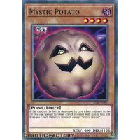 PHNI-EN098 Mystic Potato Common 1st Edition NM