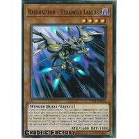 PHRA-EN005 Raidraptor - Strangle Lanius Super Rare 1st Edition NM