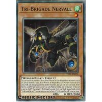 PHRA-EN006 Tri-Brigade Nervall Common 1st Edition NM
