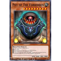 PHRE-EN027 Pot of The Forbidden Rare 1st Edition NM