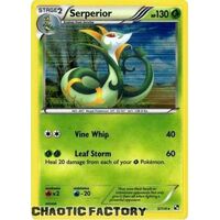 Serperior - 5/114 - Holo Rare NM