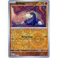 Drilbur - 111/197 - Common Reverse Holo NM