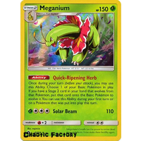 Meganium - 8/214 - Holo Rare