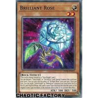 POTE-EN021 Brilliant Rose Common 1st Edition NM