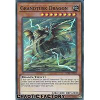 POTE-EN033 Grandtusk Dragon Super Rare 1st Edition NM