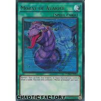POTE-EN084 Moray of Avarice Ultra Rare 1st Edition NM