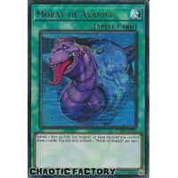 POTE-EN084 Moray of Avarice Ultra Rare 1st Edition NM