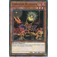 RA01-EN002 Lonefire Blossom ULTRA Rare 1st Edition NM