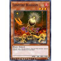 RA01-EN002 Lonefire Blossom Super Rare 1st Edition NM