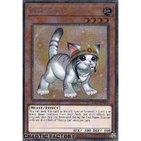 Platinum Secret Rare RA02-EN001 Rescue Cat (alternate art) 1st Edition NM