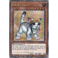 Quarter Century Secret Rare RA02-EN001 Rescue Cat (alternate art) 1st Edition NM