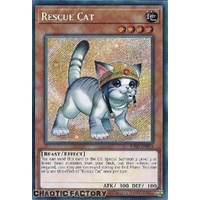 RA02-EN001 Rescue Cat (alternate art) Secret Rare 1st Edition NM