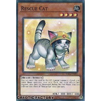 RA02-EN001 Rescue Cat (alternate art) Super Rare 1st Edition NM