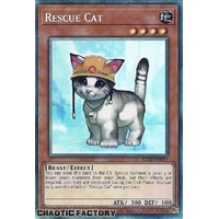 Collector's Rare RA02-EN001 Rescue Cat 1st Edition NM