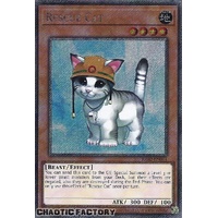 Platinum Secret Rare RA02-EN001 Rescue Cat 1st Edition NM