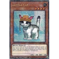 Quarter Century Secret Rare RA02-EN001 Rescue Cat 1st Edition NM