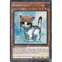 RA02-EN001 Rescue Cat Secret Rare 1st Edition NM