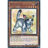 RA02-EN001 Rescue Cat Ultra Rare 1st Edition NM