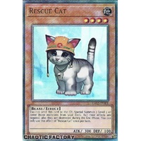 Ultimate Rare RA02-EN001 Rescue Cat 1st Edition NM