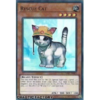 RA02-EN001 Rescue Cat Super Rare 1st Edition NM