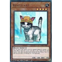 RA02-EN002 D.D. Crow Ultra Rare 1st Edition NM