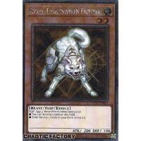 Platinum Secret Rare RA02-EN003 Ryko, Lightsworn Hunter 1st Edition NM