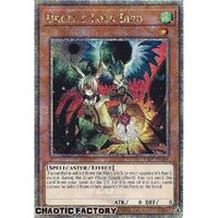 Quarter Century Secret Rare RA02-EN006 Droll & Lock Bird 1st Edition NM