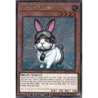Platinum Secret Rare RA02-EN008 Rescue Rabbit 1st Edition NM