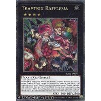 Quarter Century Secret Rare RA02-EN034 Traptrix Rafflesia 1st Edition NM