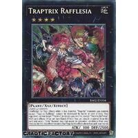 RA02-EN034 Traptrix Rafflesia Secret Rare 1st Edition NM