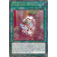 Quarter Century Secret Rare RA02-EN071 My Friend Purrely 1st Edition NM