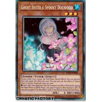 RA03-EN020 Ghost Sister & Spooky Dogwood (alternate artwork) Collector's Rare 1st Edition NM