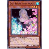 RA03-EN020 Ghost Sister & Spooky Dogwood (alternate artwork) Ultra Rare 1st Edition NM