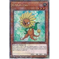 RA03-EN211 Dandylion Quarter Century Secret Rare 1st Edition NM
