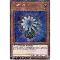 RA03-EN245 Glow-Up Bulb Quarter Century Secret Rare 1st Edition NM