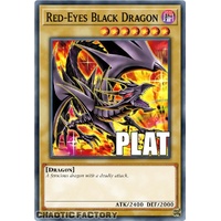 RA04-EN109 Red-Eyes Black Dragon MP24 ART Platinum Secret Rare 1st Edition NM